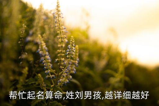 幫忙起名算命,姓劉男孩,越詳細(xì)越好