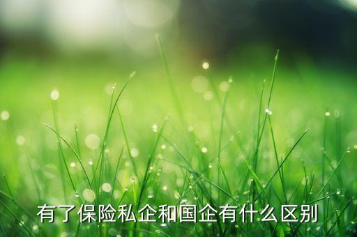 有了保險私企和國企有什么區(qū)別