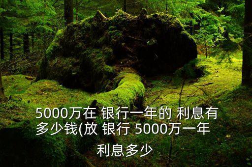  5000萬(wàn)在 銀行一年的 利息有多少錢(放 銀行 5000萬(wàn)一年 利息多少