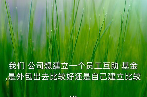 我們 公司想建立一個(gè)員工互助 基金,是外包出去比較好還是自己建立比較...