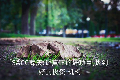 SACC薛慶:讓真正的好項目,找到好的投資 機構(gòu)