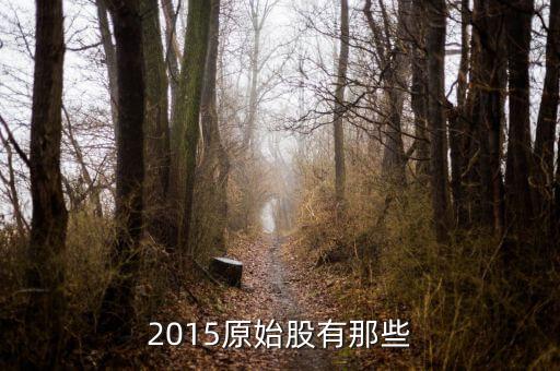 2015最牛的股票,茅臺(tái)股票2015價(jià)格