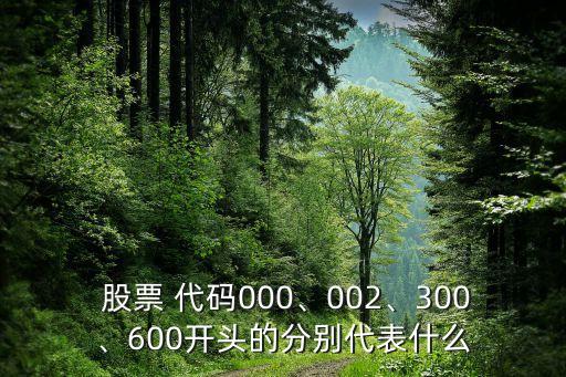  股票 代碼000、002、300、600開頭的分別代表什么