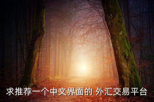 求推薦一個(gè)中文界面的 外匯交易平臺(tái)