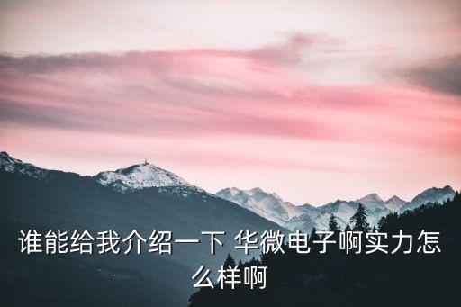 吉林華微電子股份有限公司怎么樣,廣東省華微檢測(cè)股份有限公司怎么樣