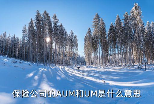 保險(xiǎn)公司的AUM和UM是什么意思