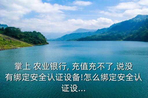 掌上 農(nóng)業(yè)銀行, 充值充不了,說沒有綁定安全認證設備!怎么綁定安全認證設...