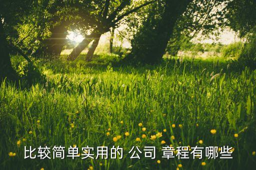 比較簡單實(shí)用的 公司 章程有哪些