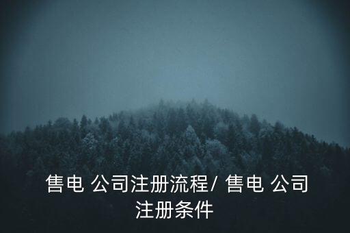  售電 公司注冊(cè)流程/ 售電 公司注冊(cè)條件