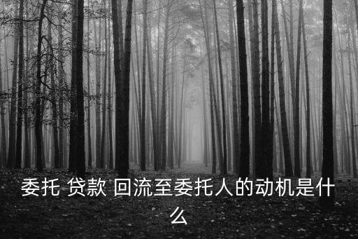 委托 貸款 回流至委托人的動(dòng)機(jī)是什么