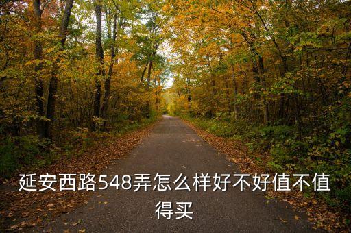 延安西路548弄怎么樣好不好值不值得買