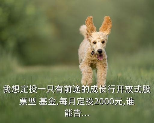 我想定投一只有前途的成長行開放式股票型 基金,每月定投2000元,誰能告...