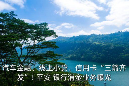 汽車金融、線上小貸、信用卡“三箭齊發(fā)”! 平安 銀行消金業(yè)務(wù)曝光