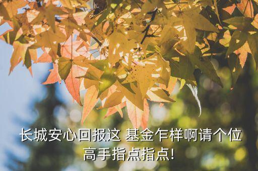  長(zhǎng)城安心回報(bào)這 基金乍樣啊請(qǐng)個(gè)位高手指點(diǎn)指點(diǎn)!