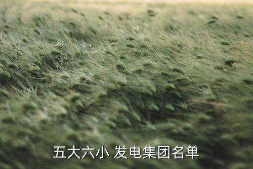 浙江豐源發(fā)電有限公司,山東豐源生物質發(fā)電有限公司