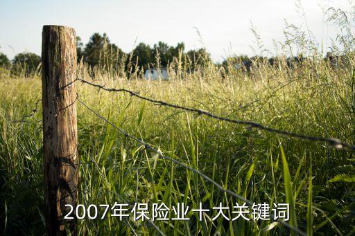 2007年保險業(yè)十大關鍵詞