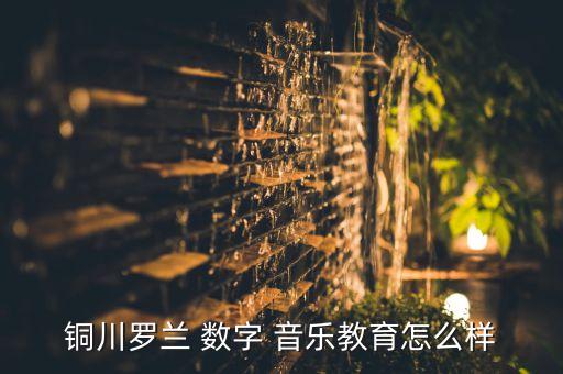 數(shù)字音樂公司,羅蘭數(shù)字音樂教育