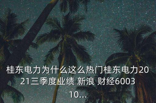 桂東電力為什么這么熱門桂東電力2021三季度業(yè)績 新浪 財經600310...