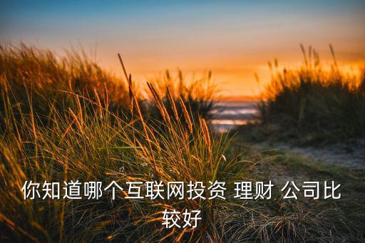 你知道哪個互聯(lián)網(wǎng)投資 理財 公司比較好