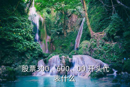  股票300、600、00 開頭代表什么