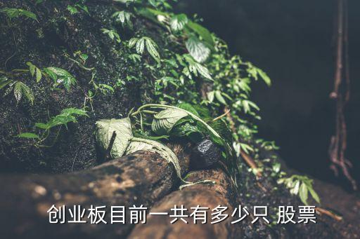  創(chuàng)業(yè)板目前一共有多少只 股票