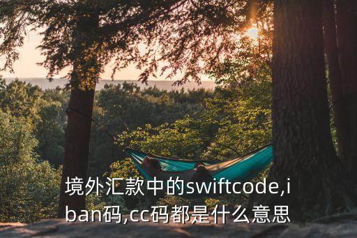 境外匯款中的swiftcode,iban碼,cc碼都是什么意思