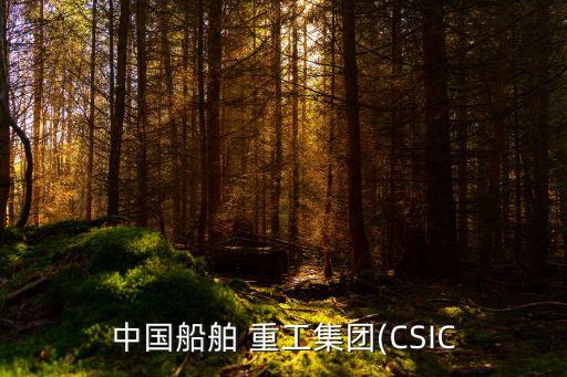 中國船舶 重工集團(CSIC