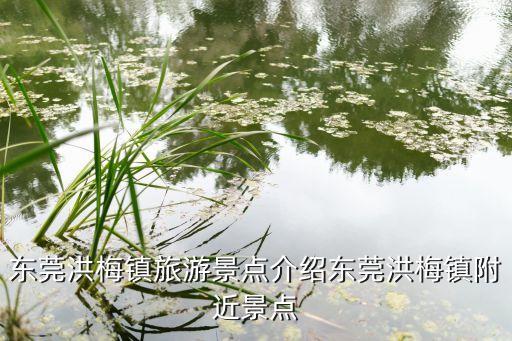 東莞洪梅鎮(zhèn)旅游景點(diǎn)介紹東莞洪梅鎮(zhèn)附近景點(diǎn)