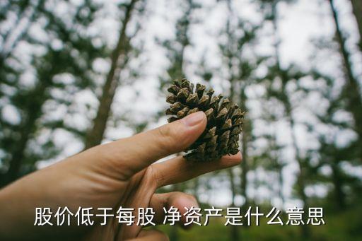 股價低于每股 凈資產(chǎn)是什么意思