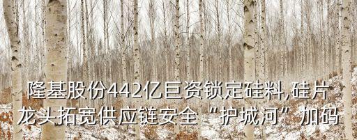 隆基股份442億巨資鎖定硅料,硅片龍頭拓寬供應鏈安全“護城河”加碼