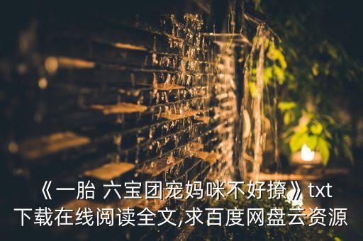 《一胎 六寶團(tuán)寵媽咪不好撩》txt下載在線閱讀全文,求百度網(wǎng)盤云資源