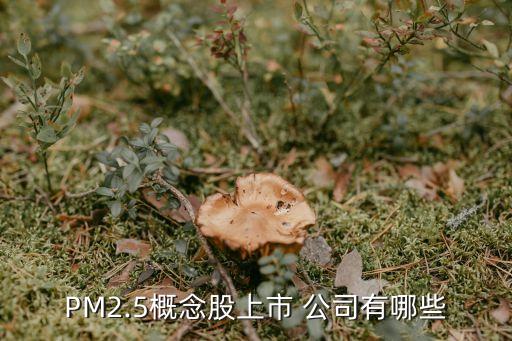 PM2.5概念股上市 公司有哪些