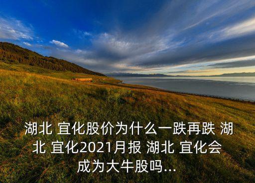  湖北 宜化股價為什么一跌再跌 湖北 宜化2021月報 湖北 宜化會成為大牛股嗎...