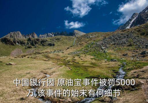 中國(guó)銀行因 原油寶事件被罰5000萬(wàn),該事件的始末有何細(xì)節(jié)