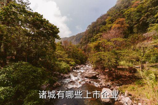 山東福爾股份有限公司,山東魯抗醫(yī)藥股份有限公司