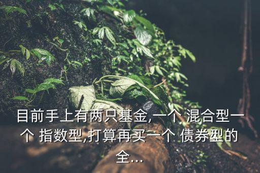 股票混合指數債券,混合型 股票型 債券型 指數型