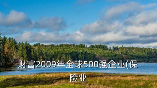 財富2009年全球500強企業(yè)(保險業(yè)