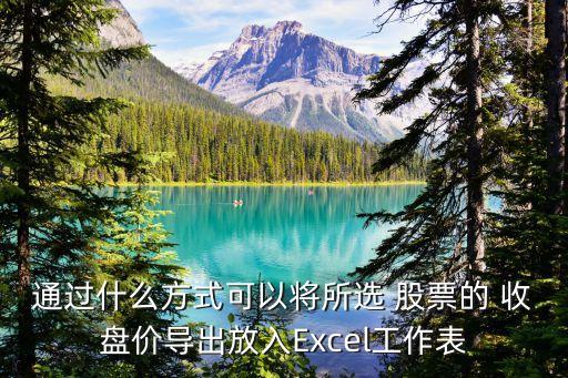 通過什么方式可以將所選 股票的 收盤價(jià)導(dǎo)出放入Excel工作表