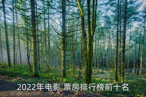 2022年電影 票房排行榜前十名