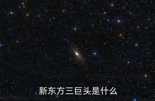  新東方三巨頭是什么