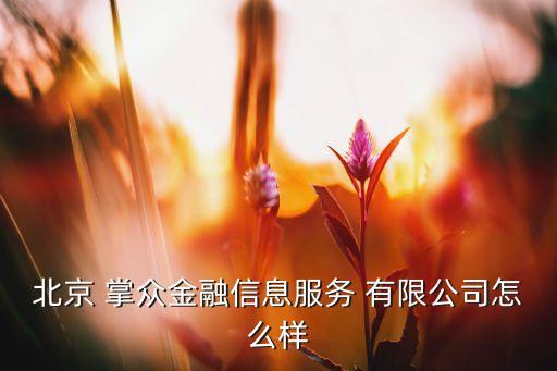 北京 掌眾金融信息服務 有限公司怎么樣