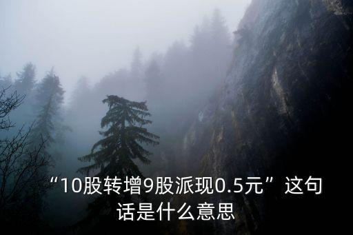 “10股轉(zhuǎn)增9股派現(xiàn)0.5元”這句話是什么意思