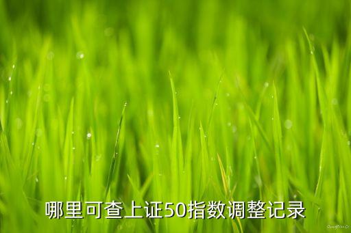 哪里可查上證50指數(shù)調(diào)整記錄