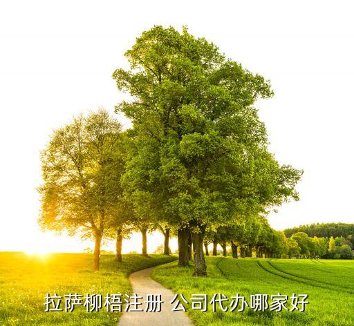 拉薩柳梧注冊(cè) 公司代辦哪家好