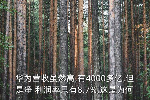 中國企業(yè)利潤低的主要原因是什么,企業(yè)利潤變動的主要原因