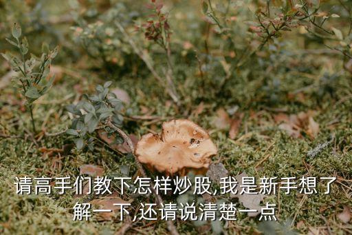 請(qǐng)高手們教下怎樣炒股,我是新手想了解一下,還請(qǐng)說(shuō)清楚一點(diǎn)