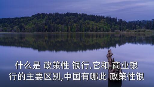 什么是 政策性 銀行,它和 商業(yè)銀行的主要區(qū)別,中國有哪此 政策性銀