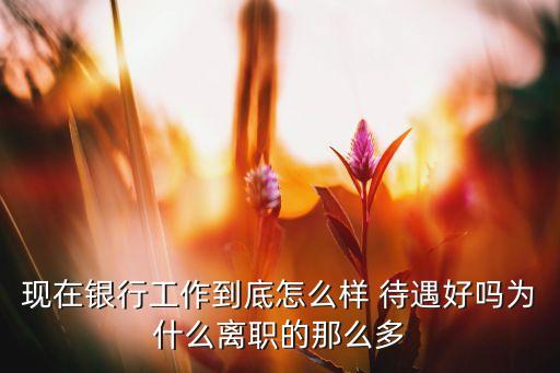 現(xiàn)在銀行工作到底怎么樣 待遇好嗎為什么離職的那么多