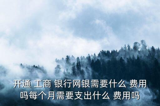 開通 工商 銀行網(wǎng)銀需要什么 費(fèi)用嗎每個(gè)月需要支出什么 費(fèi)用嗎