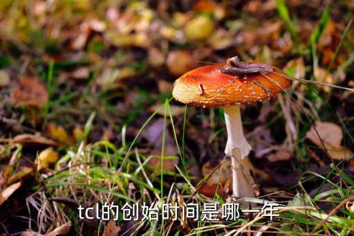  tcl的創(chuàng)始時間是哪一年